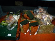 *Garden Products; Pots, Trays, Shells, Edible Rabb