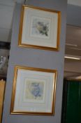 Two Gilt Framed Signed Prints by Caroline Jenkins