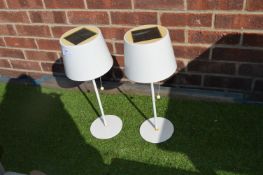 Pair of Garden Solar Lights