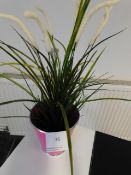 *Plastic Pampas Grass in Pot