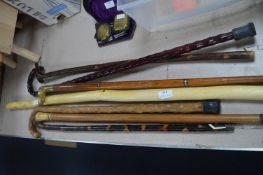 Seven Walking Sticks