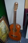 BM Spanish Acoustic Guitar