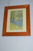 Small Framed Watercolour of a Bluebell Woods by Mo