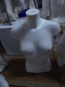 * white female upper body