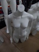 * white female upper body