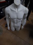 * white male body - no head