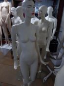 * white female mannequin - attractive features - glass stand