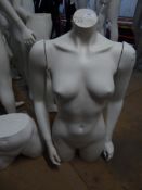 * white female torso