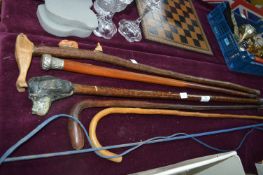 Five Walking Sticks