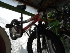 Probike Tricera Child's Bicycle