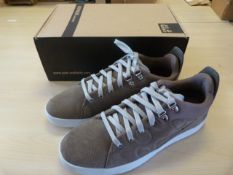 *Auckland Low Shoe in Siltstone Size: 8