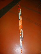 *Pair of Atomic Proshate Skis