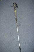 Extreme Explorer Hiking Stick