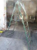 Adjustable Metal Steps/Ladder