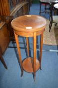 Edwardian Mahogany Plant Stand