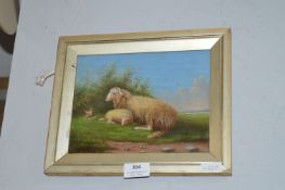 Small Oil on Canvas of Sheep