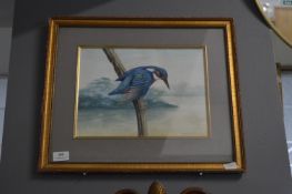 Framed Watercolour of a Kingfisher by Gordon C. Johnston 1988