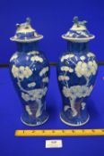 pair of Chinese Blue & White Covered Pots with Prunus Design and Lion Detail to Lids
