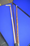 Three Walking Sticks