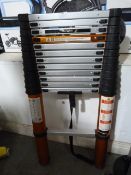 *Batavia Giraffe Ladder