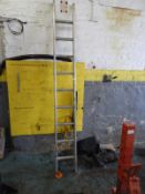 Aluminium Nine Rung Ladder