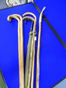 Walking Stick with Horn Handle and Four Others