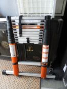 Batavia Extendable Ladder