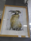 Framed Print of a Hare Titled 
