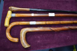 Four Walking Sticks