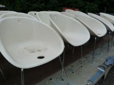 14 Plastic Chairs with Tubular Chrome Legs (some s