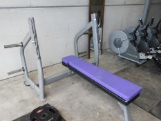 *Cybex Olympic Bench