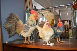 Three Chicken Figures