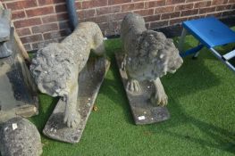 Pair of garden Lion Ornaments (AF)