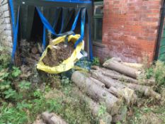 Quantity of Logs (In and Outside the Shed)