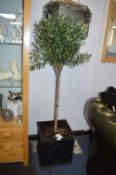 *Artificial Olive Tree in Square Planter