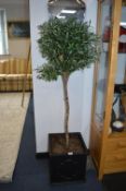 *Artificial Olive Tree in Square Planter