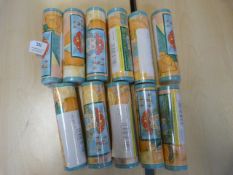 *11 Rolls of Tots n' Teens Border (~5m per roll)