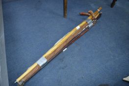 Four Walking Sticks and an Umbrella