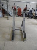 *Precor Hip & Dip Bar