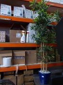 *large artificial bamboo plant in blue pot 1800 high