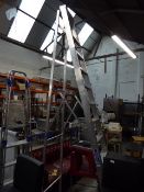 *large set of step ladders ten tread heavy-duty