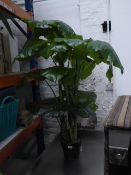 *large artificial potted plant 1.5 metre high