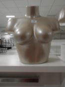 *Female Mannequin Bust
