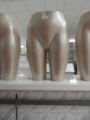 *Female Mannequin Bottom