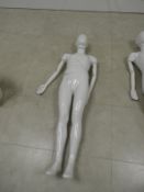 *Youth Female Mannequin