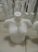 *Female Mannequin Torso