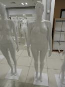 *Larger Female Mannequin on Stand