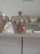 *Female Mannequin Bust