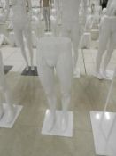 *Pair of Male Legs on Stand