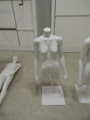 *Female Mannequin (legless)